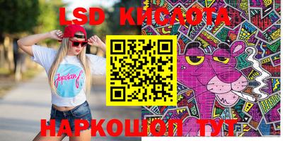 спиды Новозыбков