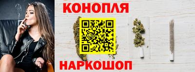 спиды Новозыбков