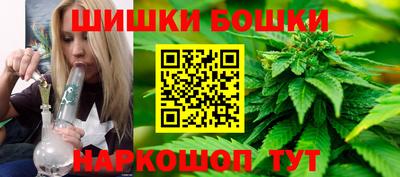 сатива Новодвинск