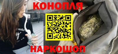 сатива Новодвинск