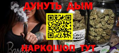 сатива Новодвинск