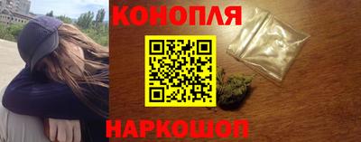 сатива Новодвинск