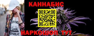 сатива Новодвинск