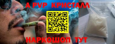 сатива Новодвинск