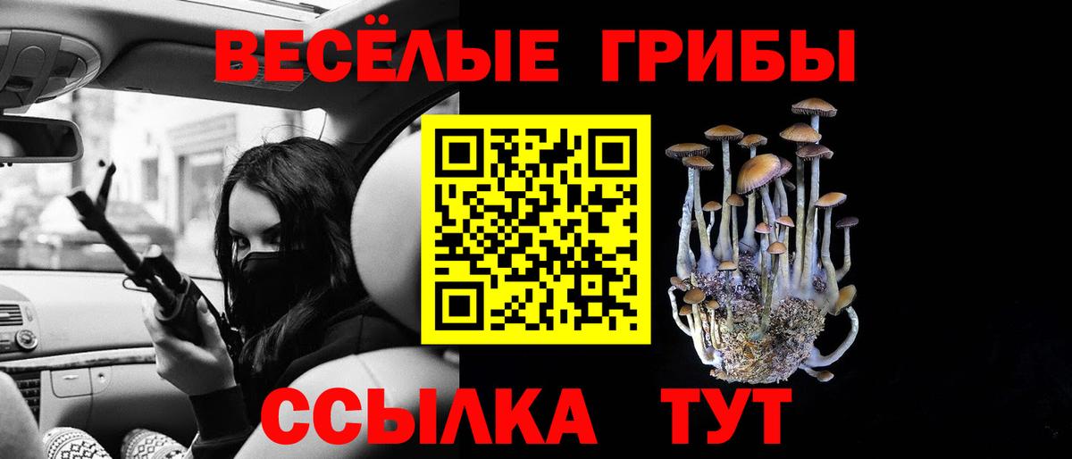Псилоцибиновые грибы Magic Shrooms Богородск