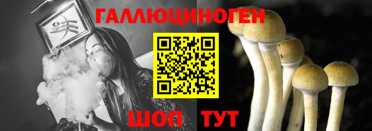 Галлюциногенные грибы Psilocybe  Вход с VPN  Богородск 